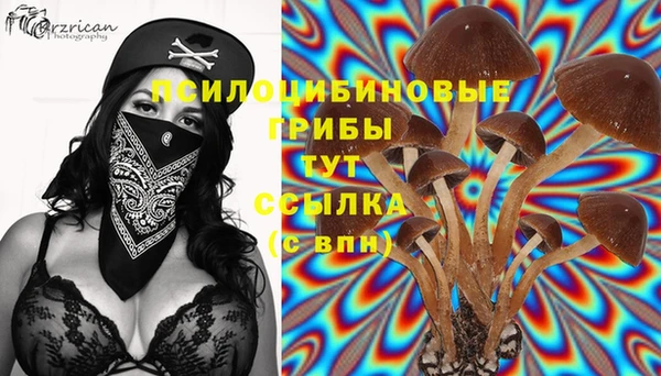 мяу мяу мука Пестово