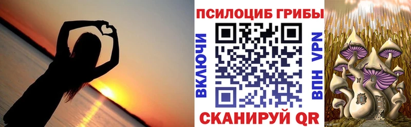 Галлюциногенные грибы мухоморы  Черкесск 