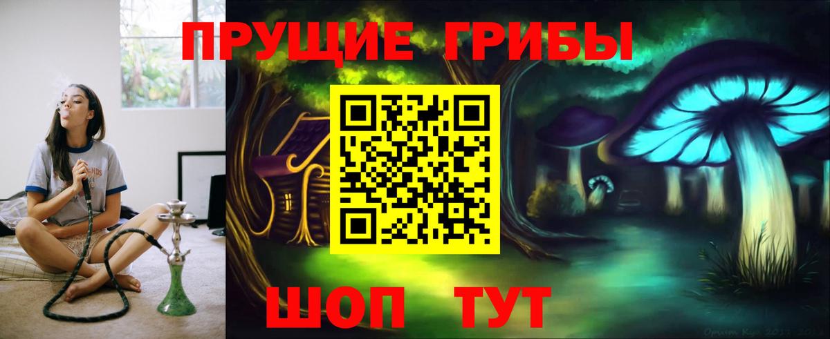 Псилоцибиновые грибы GOLDEN TEACHER Черкесск