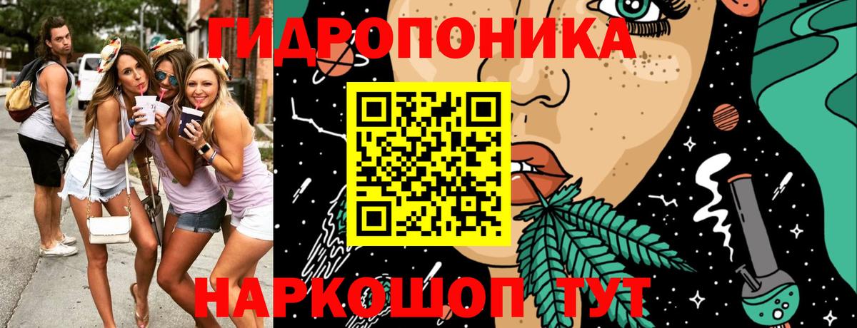 Гашиш Черкесск